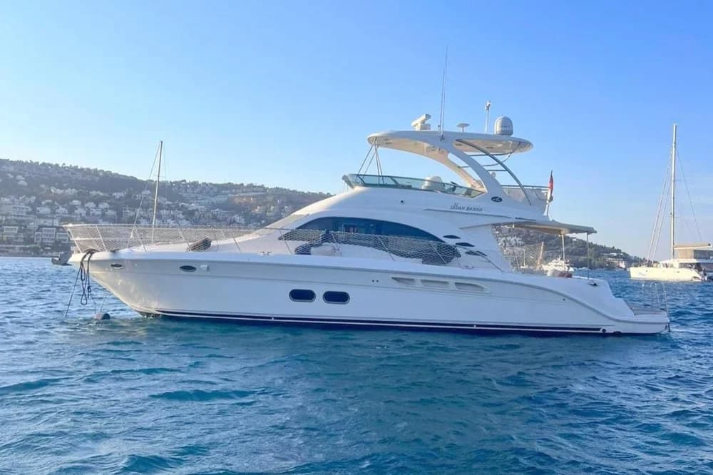 Sea Ray 550 Sedan Bridge