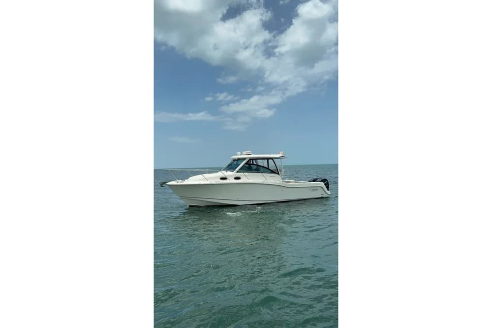 Boston Whaler 315 Conquest