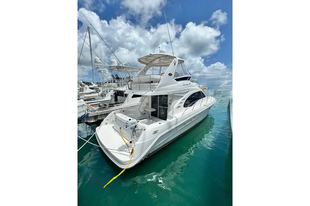 Sea Ray 44 Sedan Bridge