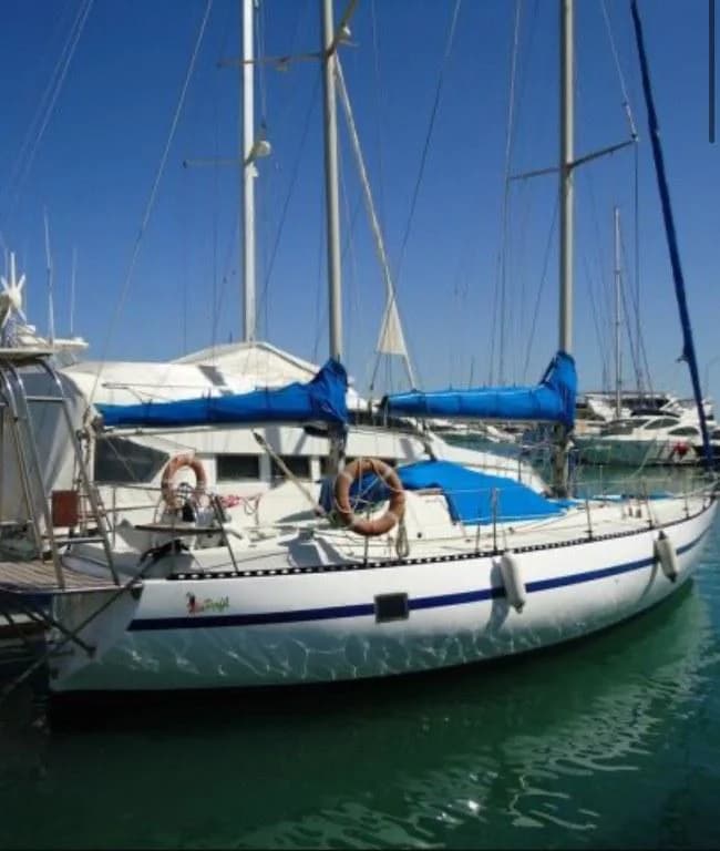 Jouet 1300