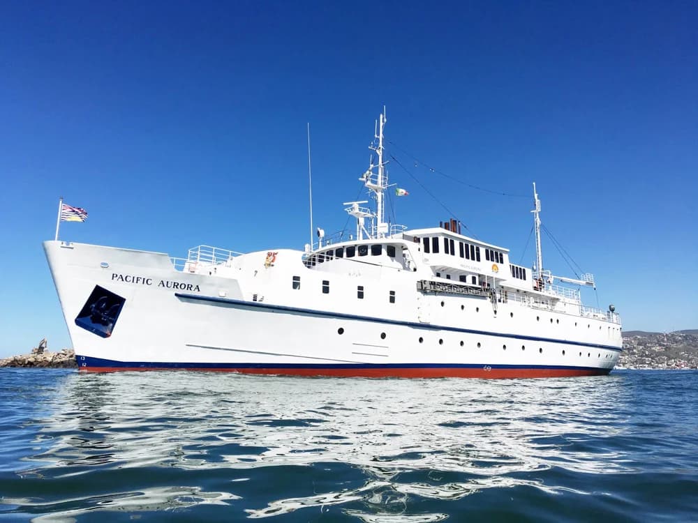 Custom Passenger Ship
