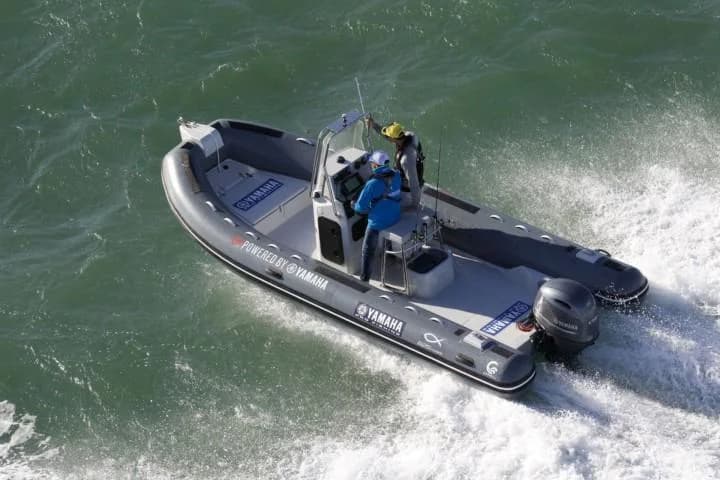 Capelli Tempest 625 Fishing