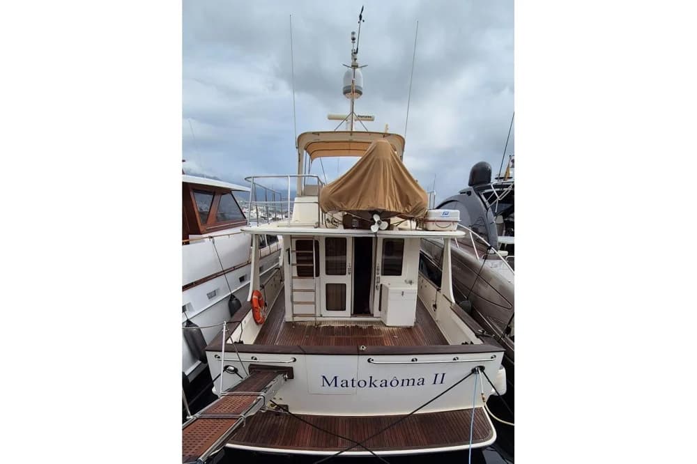 Fleming 55
