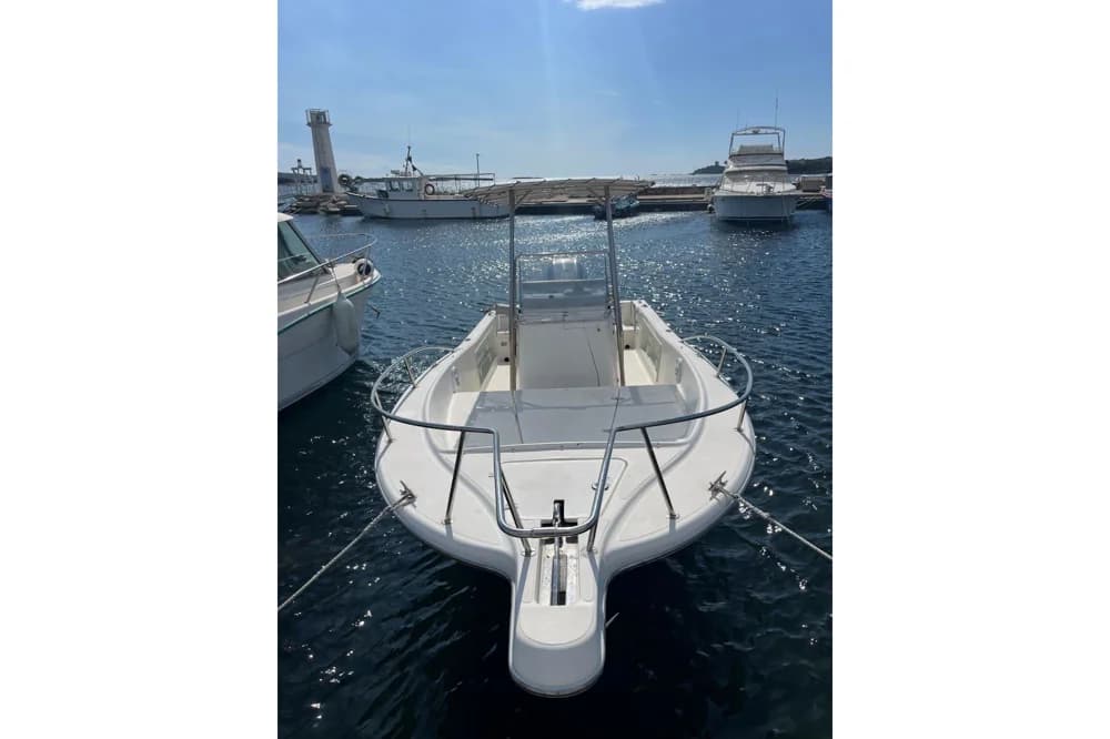 White Shark 225