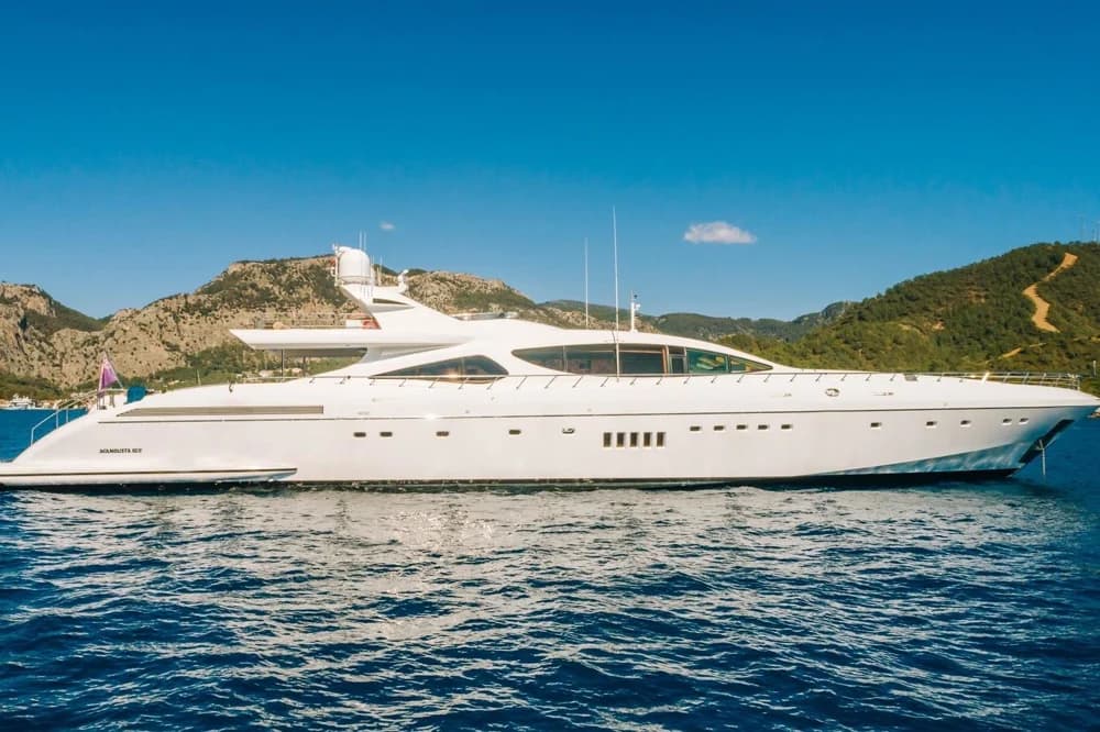 Mangusta Mangusta 165