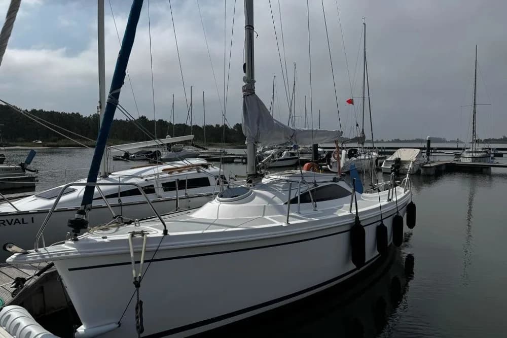 Sasanka Viva 700