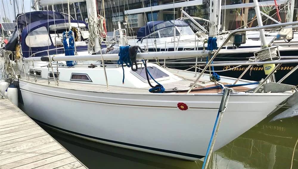 Nicholson 39