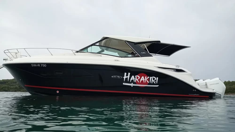Sea Ray Sundancer 320