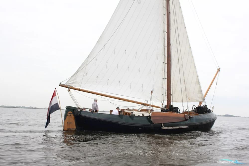 Lemsteraak WL 18 Fasant - Roefuitvoering Jachtuitvoering