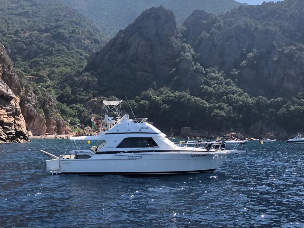 1990 Bertram 37 Convertible