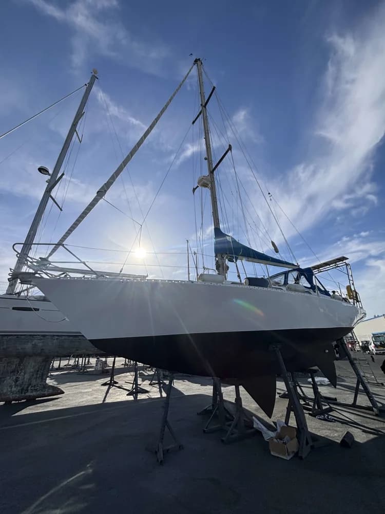 TRISMUS 32