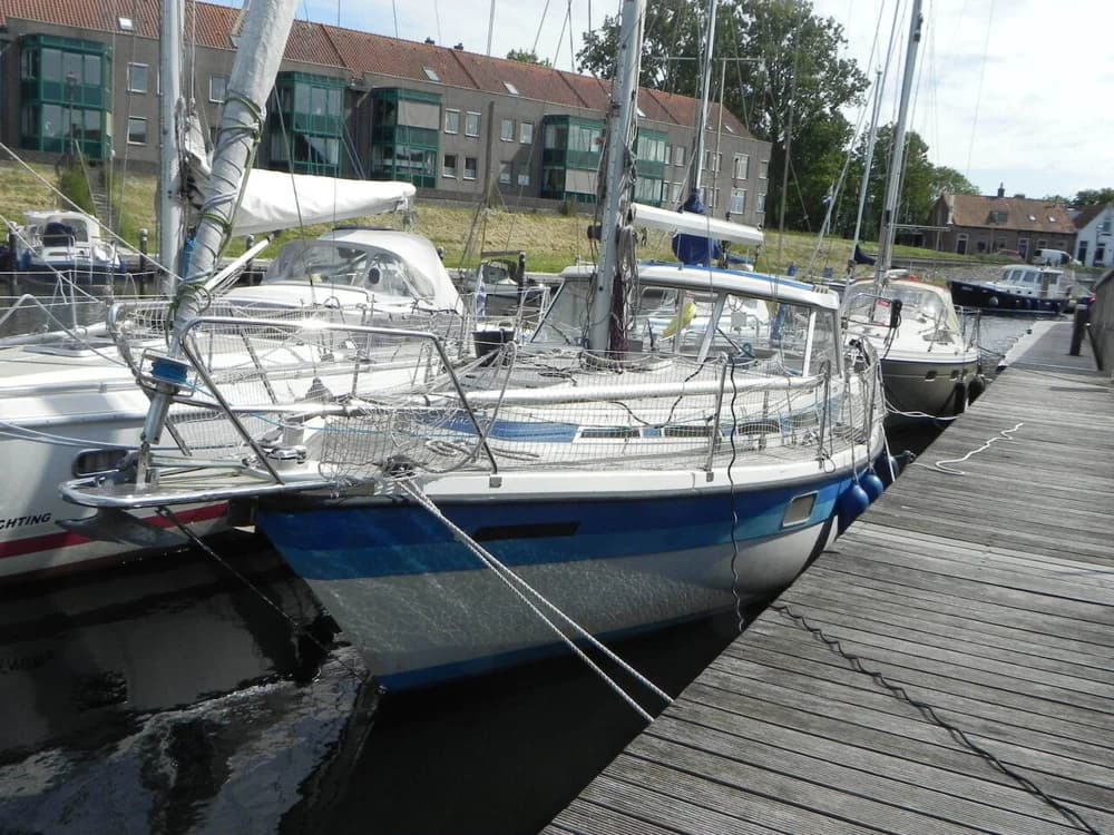 Møn 331