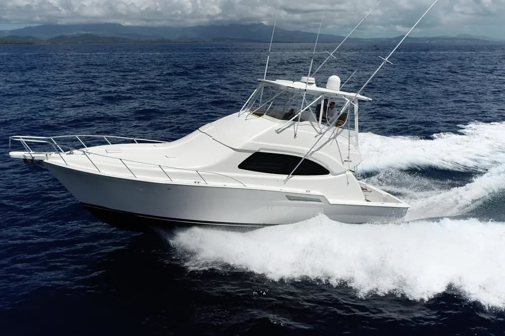 Bertram 450