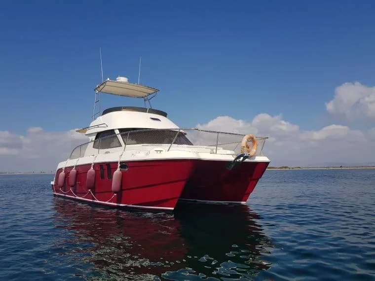 2007 Excitecat EXCITE CAT 10.10
