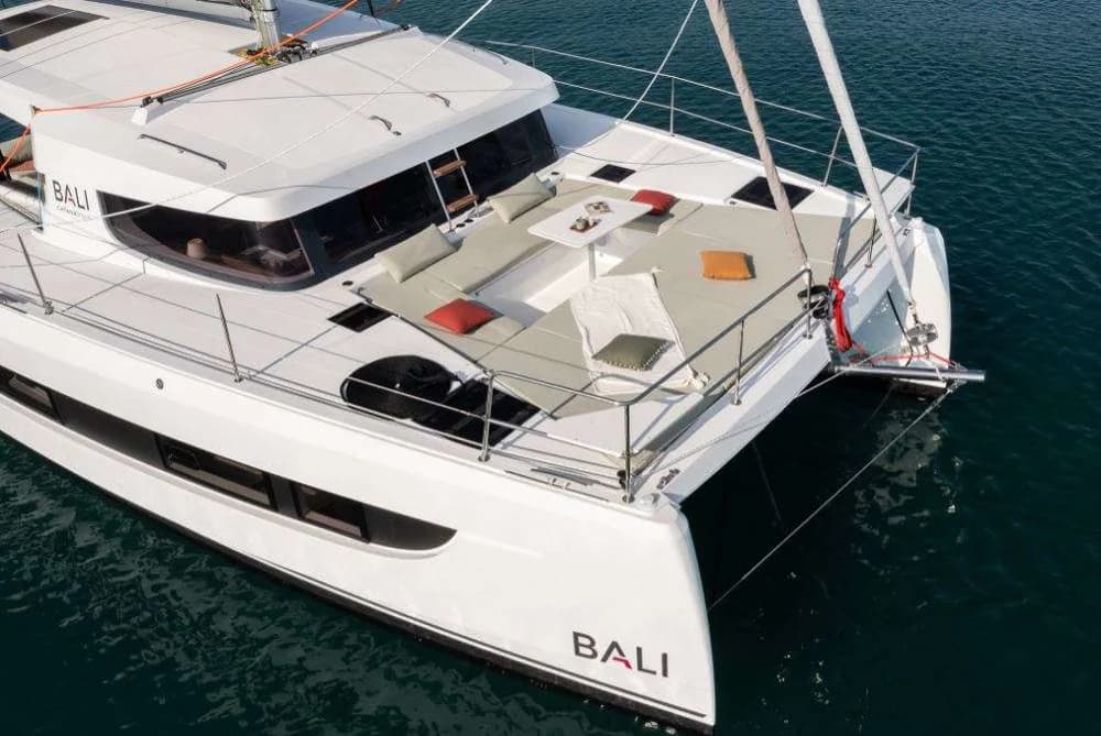 BALI Catsmart