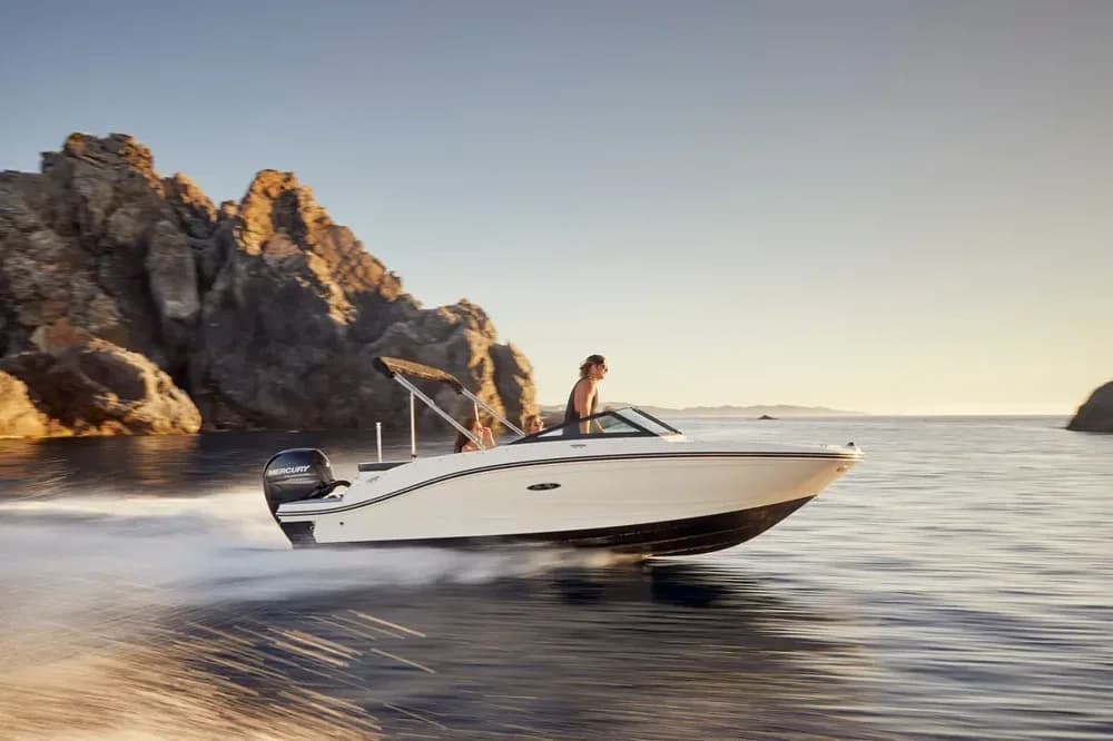 Sea Ray SPX 190 Outboard Boat for Sale in At Sales Office