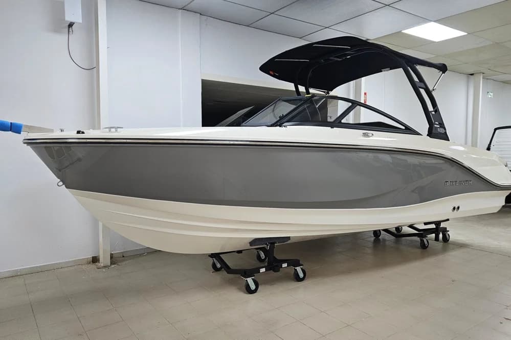 Bayliner V20