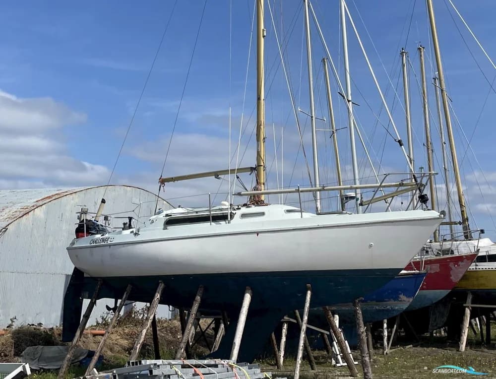 Nicholson 30