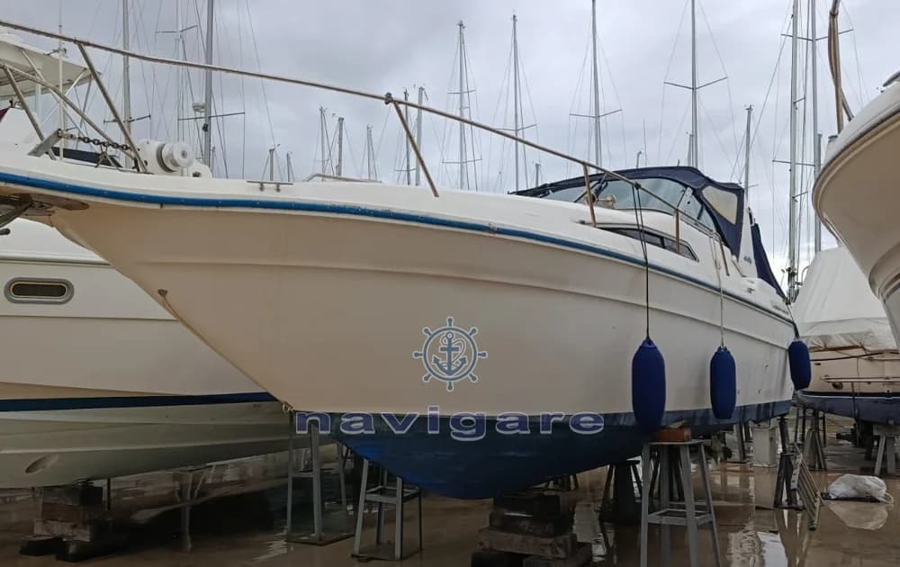 Sea Ray 290 Sundancer