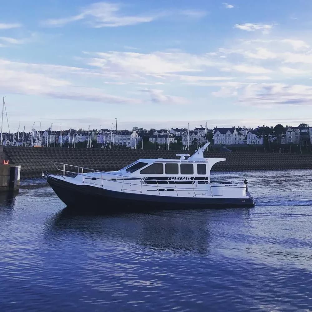 2019 Redbay Stormforce 1650 Boat for Sale in Antrim