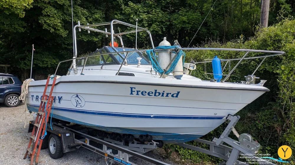 Bayliner Trophy Walkaround 2102