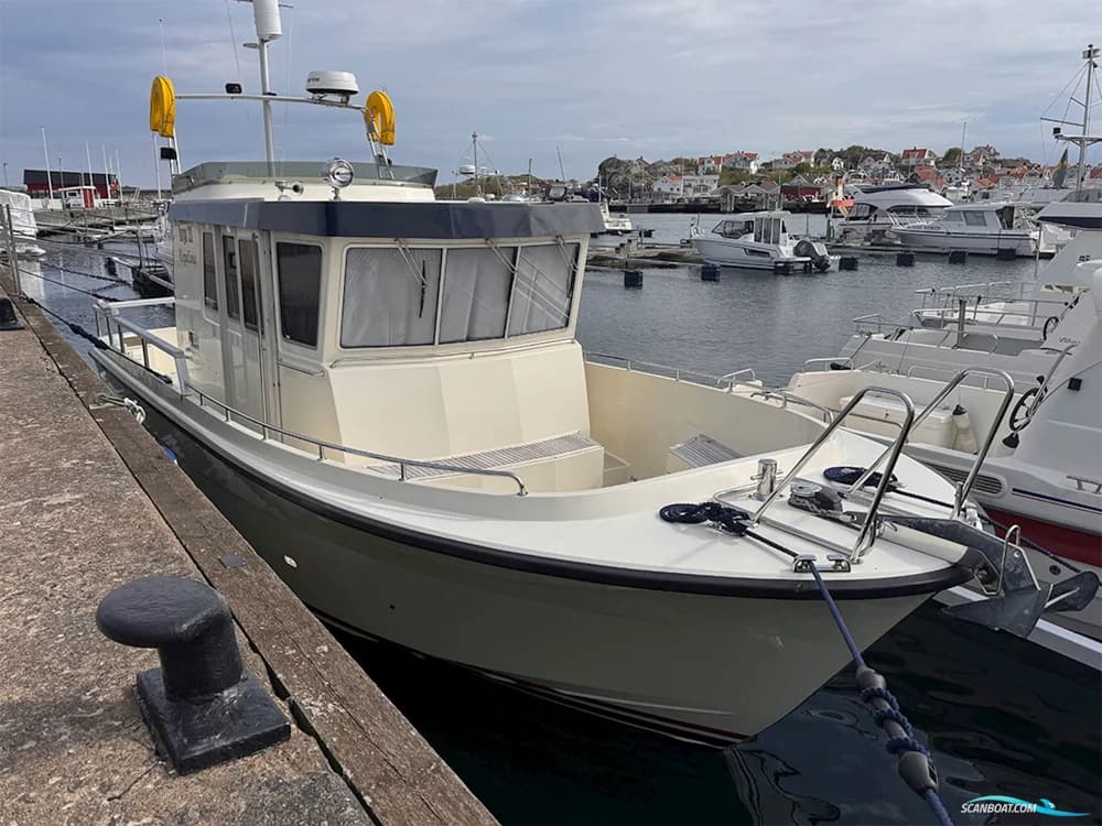 Targa 33