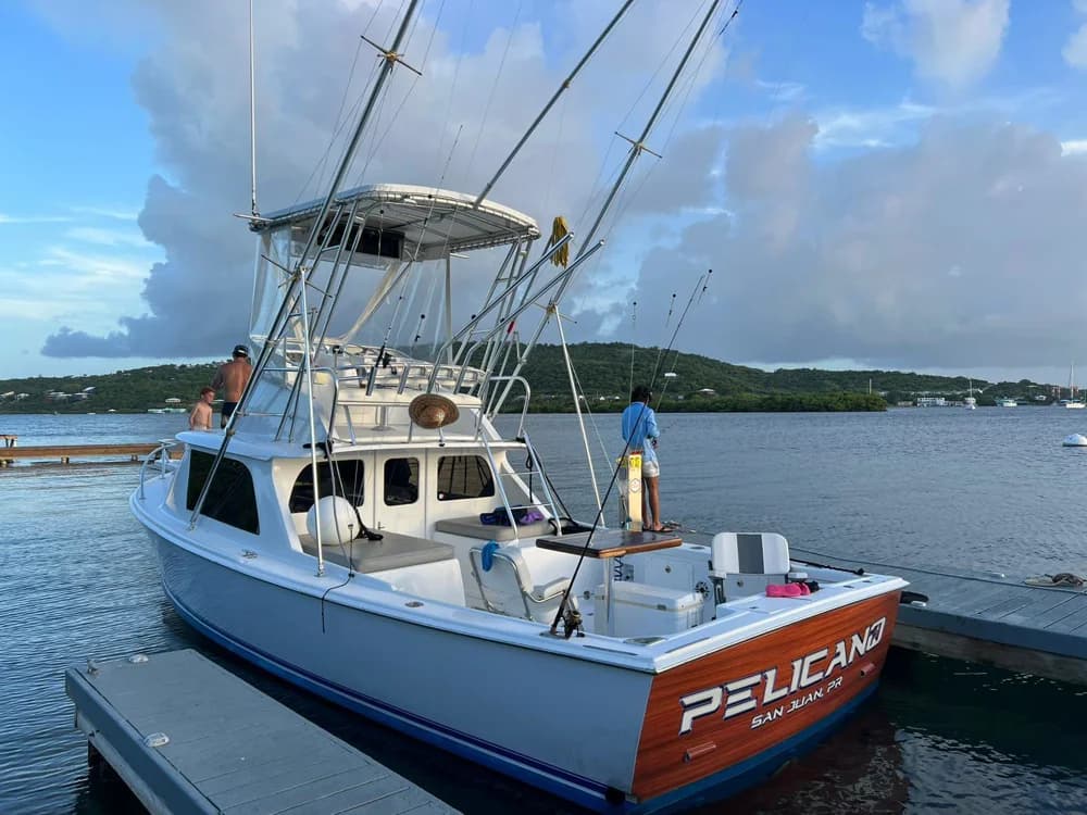 1973 Bertram 31 | 30.6 ft