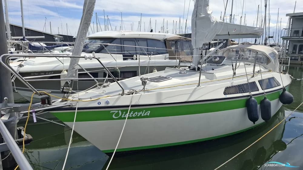 Sunwind 29