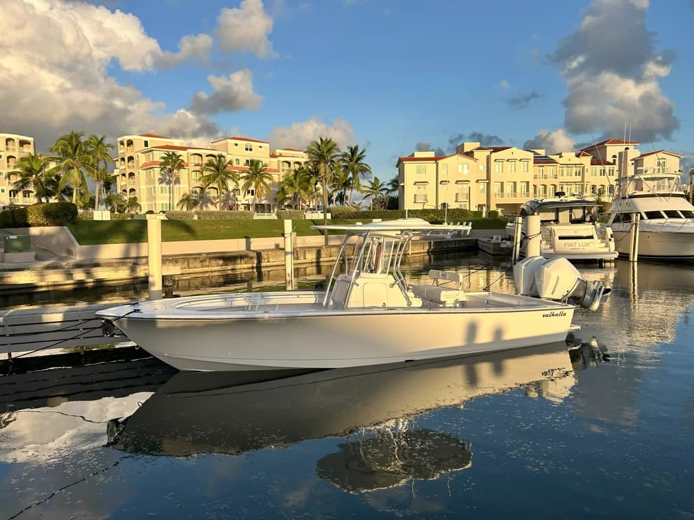 2025 Valhalla V-29 Hybrid | 29 ft