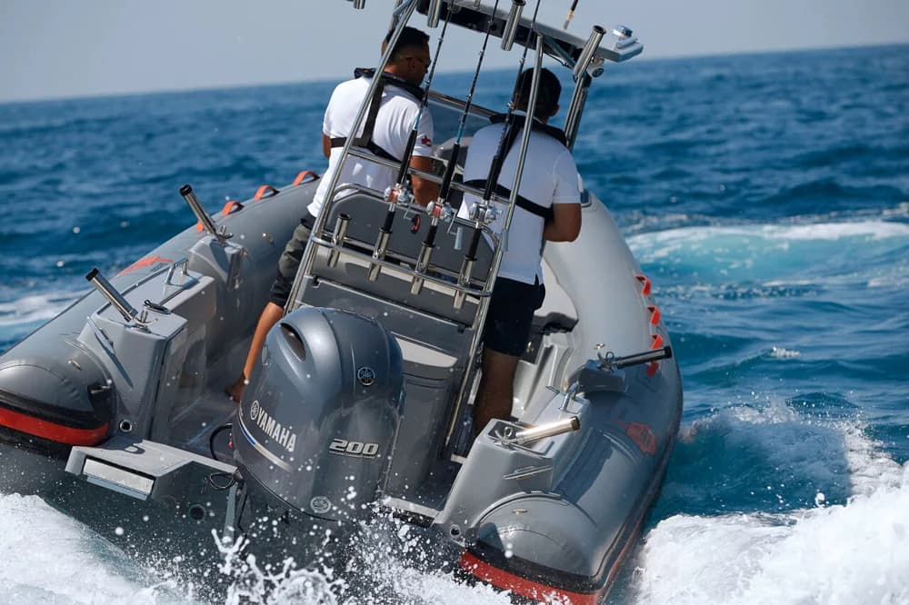 Barracuda 650