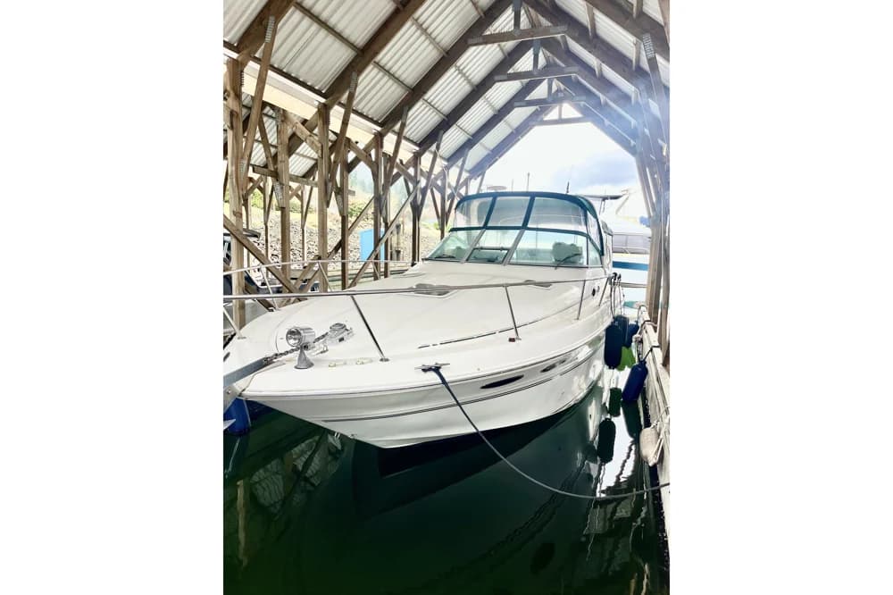 Sea Ray Sundancer 310