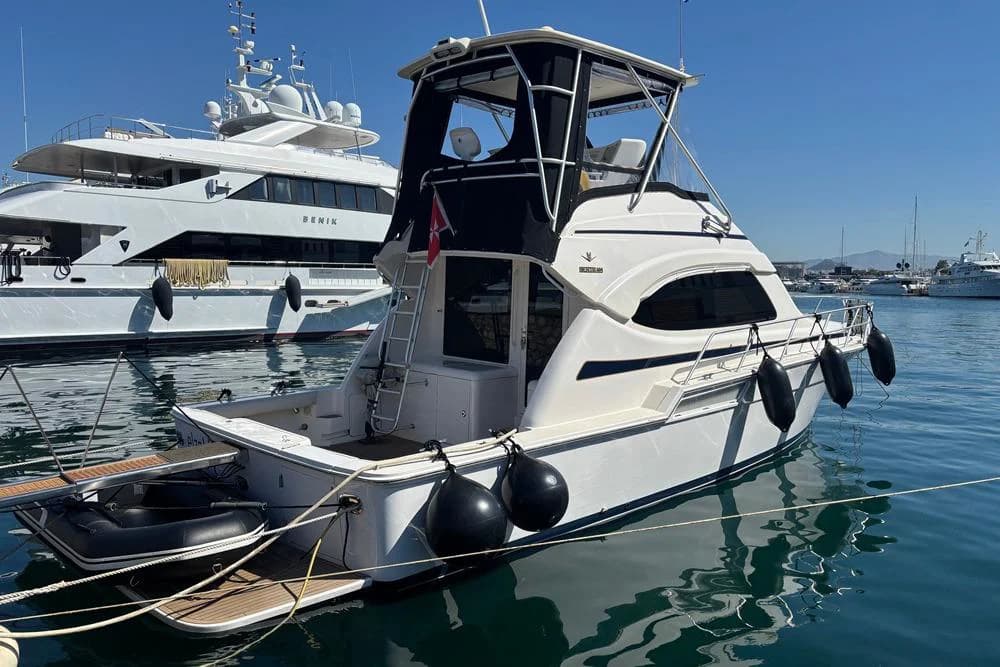 Bertram 390