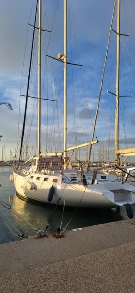 CNSO Mikado 56