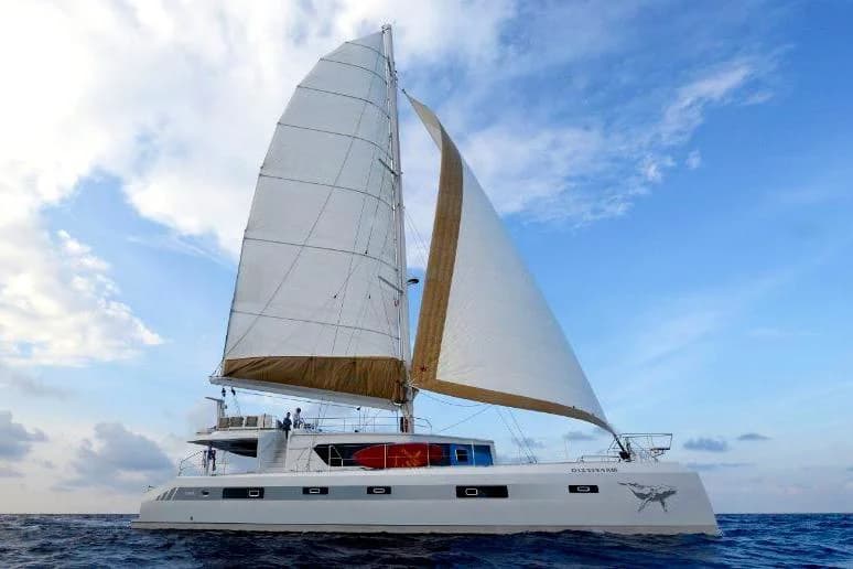 Squalt Marine CK 64