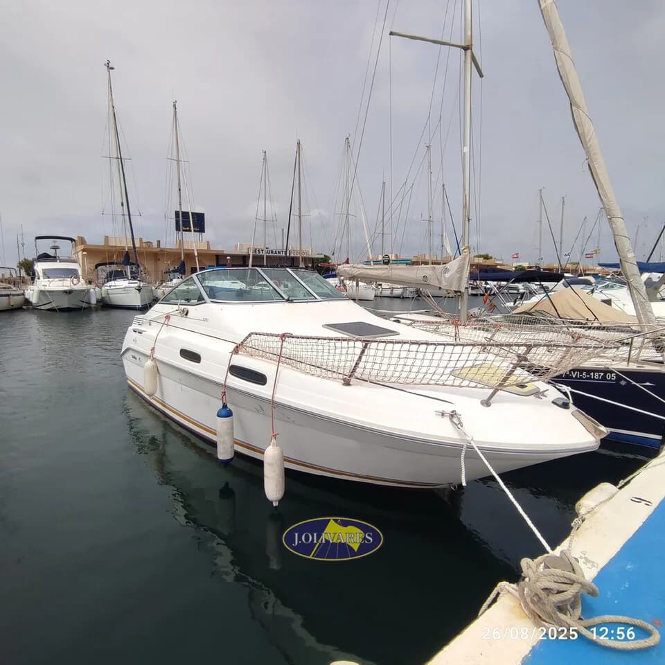 Sea Ray 230 Sundancer