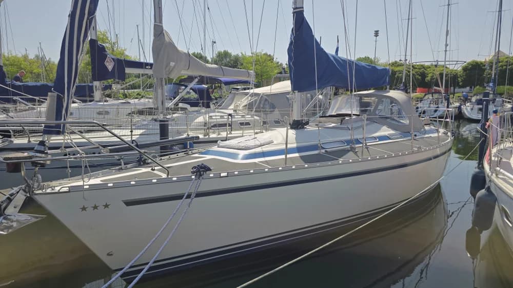 Dynamic 37