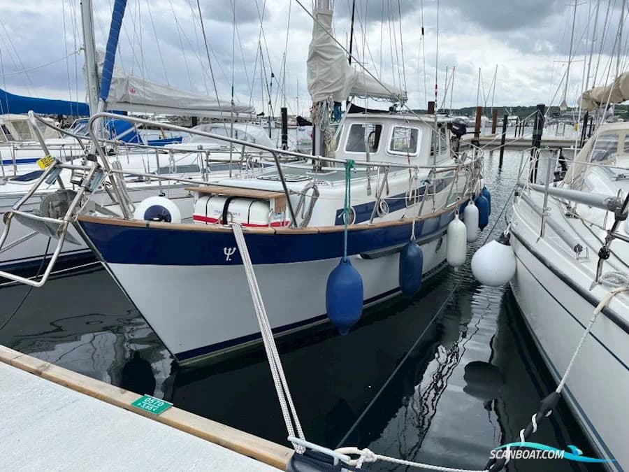De Boarnstream Sirocco 31 Decksalon