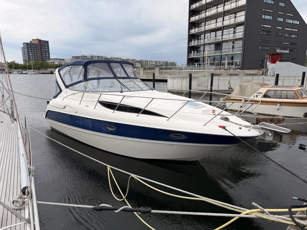 Bayliner 305