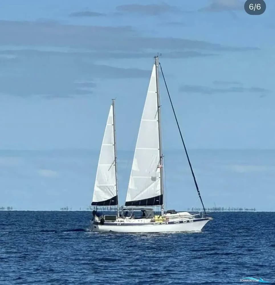 Morgan 41
