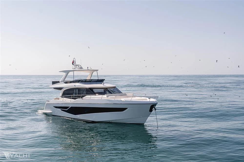 Majesty 60