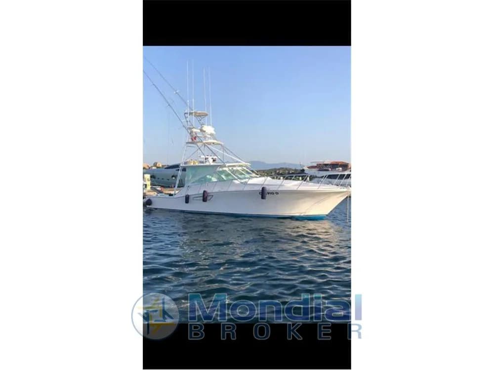 Cabo Yachts - 45 Express