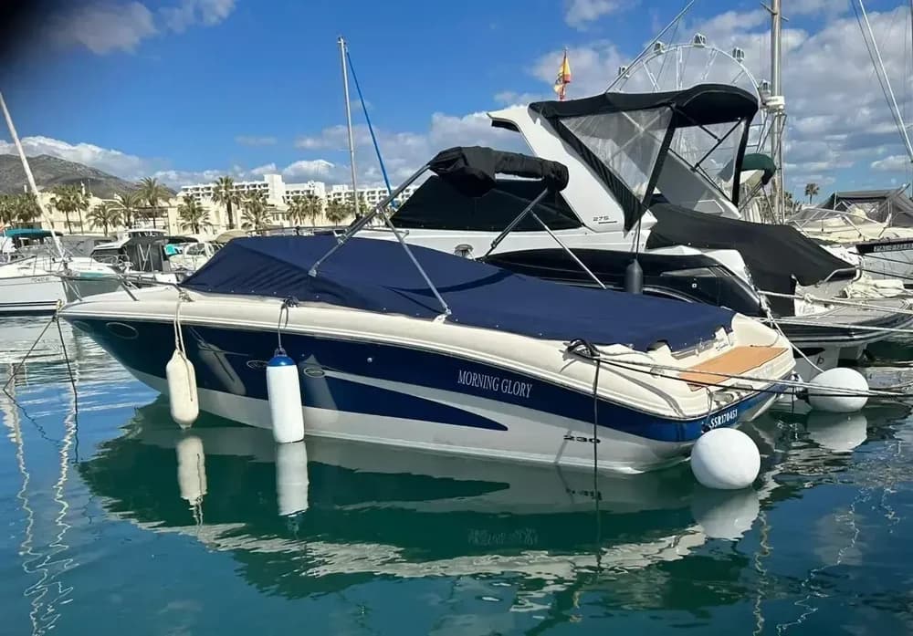 2001 Sea Ray 230 Signature Boat for Sale in Malaga