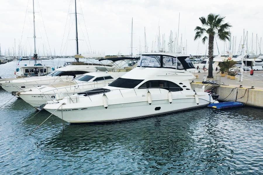2004 Sea Ray 550 Sedan Bridge | 17m