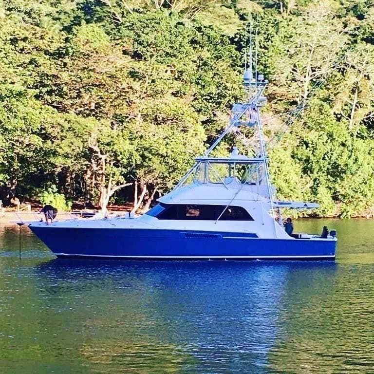 1989 Bertram 54 SPORT FISHERMAN | 16m