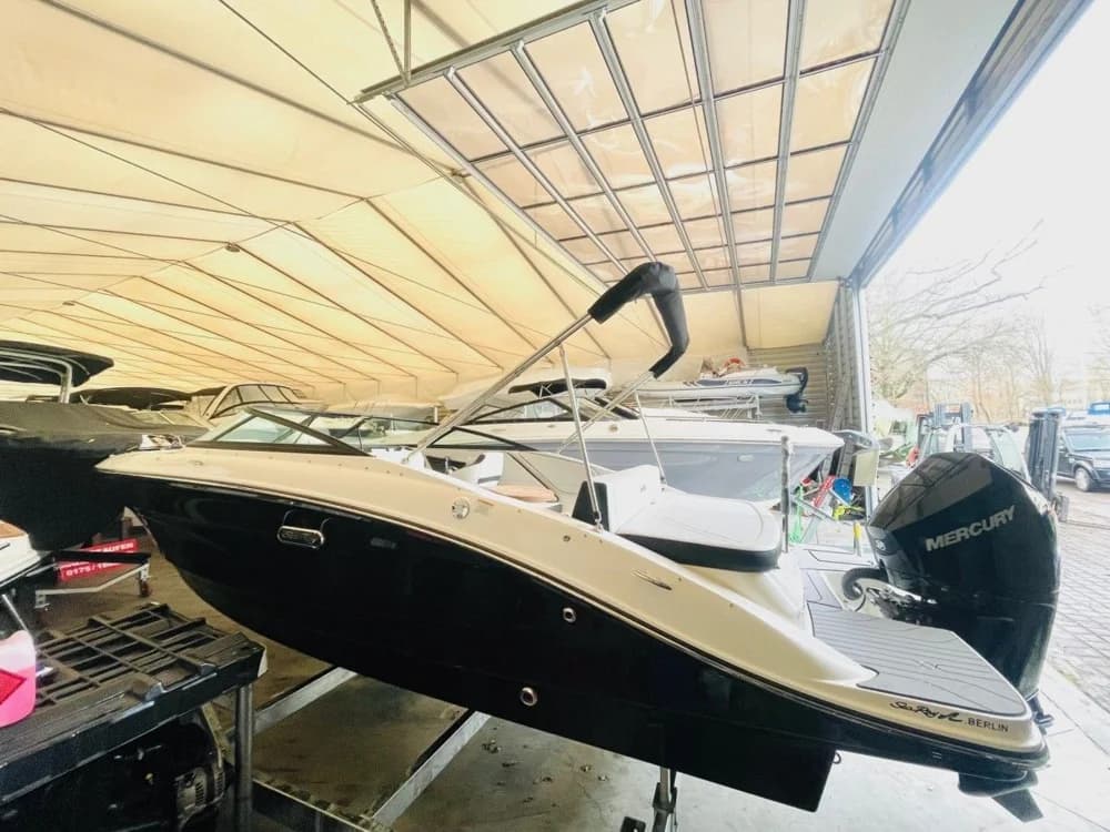 Sea Ray 210 SPOE
