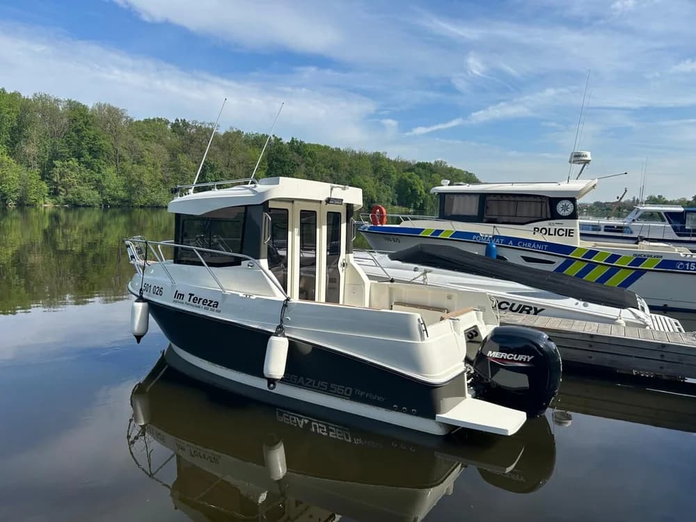 Pegazus 560 top Fisher