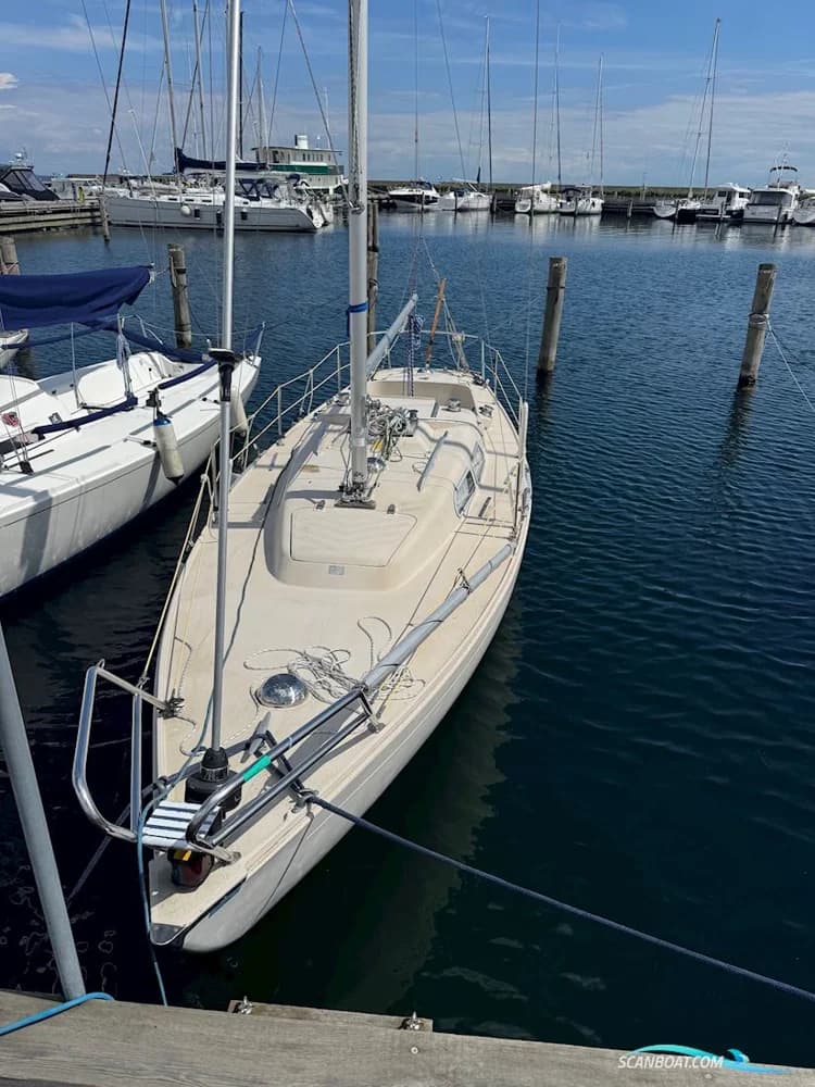 IF (International Folkboat)