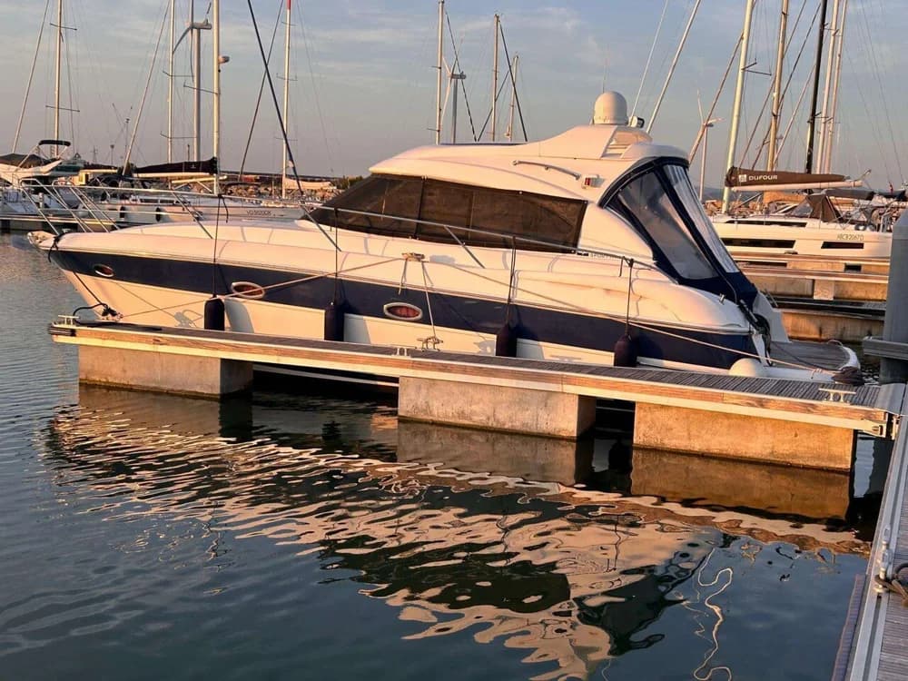 Bavaria Sport 33