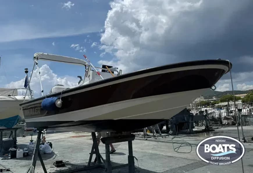 Boston Whaler 15 Dauntless