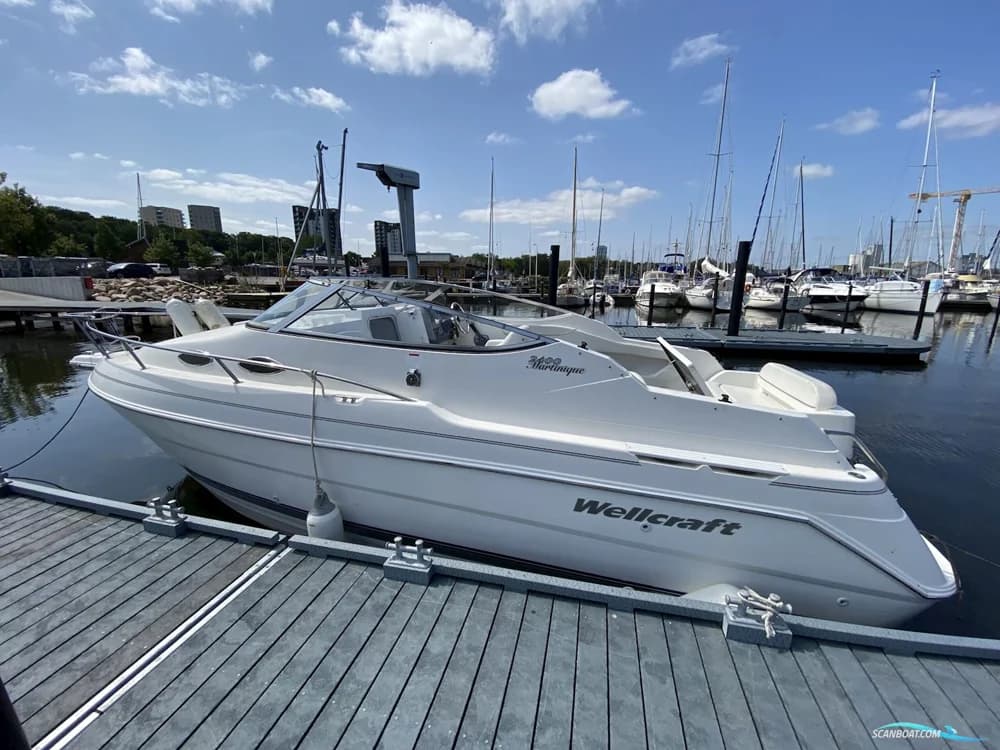Wellcraft 2400 Martinique